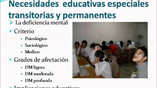 Necesidades Educativas Especiales Transitorias y Permanenteswmv [upl. by Paolina]