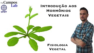 Introdução aos Hormônios Vegetais [upl. by Xer]