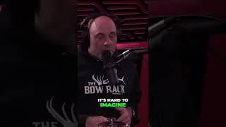 Max Holloways INSANE Records and HILARIOUS Moments joerogan undertaker youtube podcast shorts [upl. by Barrie250]