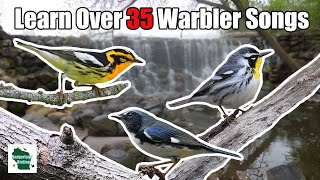 Learn 35 Warblers Songs Central and Eastern United States [upl. by Anet273]