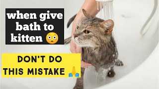 When can i start bathing My Kitten  When you should bath your Cat or avoid to give bath to Cats [upl. by Marabelle]