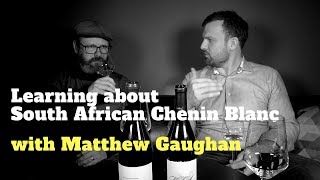 Learning about South African Chenin Blanc with Matthew Gaughan  Episode 22  Wine Terroir [upl. by Rollins]