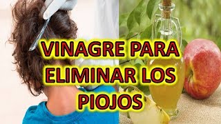 Elimina Los Piojos Y Liendres Con Vinagre – Adiós A Los Piojos Y Liendres Con Vinagre Natural [upl. by Anitrebla311]