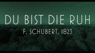 Håkon Kornstad Trio  quotDu bist die Ruhquot F Schubert [upl. by Swithbart230]