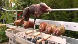 Wildschwein und Braten am Spieß wwwspiessgrillde [upl. by Netfa581]