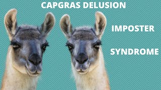 What is Capgras Delusion  Imposter Syndrome [upl. by Atsilac556]