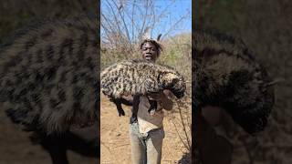 African Civet Hunt For Lunchshortsfeed hadzabetribe [upl. by Ragan979]