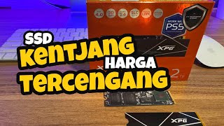 UNBOXING amp REVIEW SSD ADATA XPG GAMMIX S70 BLADE CUMA 17JT AN DAPET 2TB SPEED 7400 MBS [upl. by Adalia]