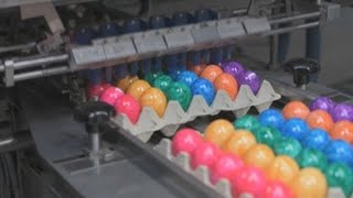 Alemania se prepara para la Pascua con 250000 huevos de colores [upl. by Nilyam134]