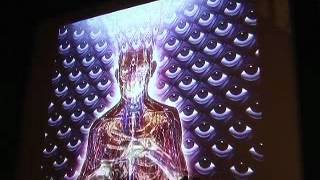 Alex Grey on Contemporary Visionary Culture [upl. by Ornie]