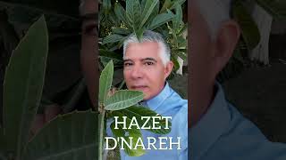 Hazét DNareh  Detalles Cover [upl. by Herrod]