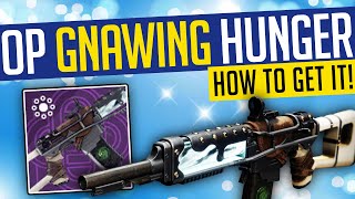 REVISITING THE AUTO RIFLE GOAT  Destiny 2 Gnawing Hunger Review 2024 [upl. by Laverne652]