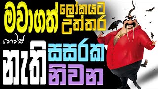 නැති සසරක නැති නිවන  මවාගත් ලෝකයට මවාගත් උත්තර  Ven Bandarawela Wangeesa Thero [upl. by Sutherlan48]