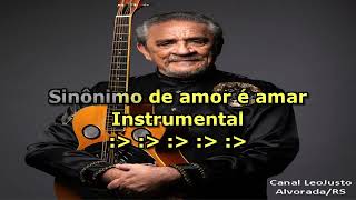 Sinônimos  Zé Ramalho  Karaokê música original [upl. by Frankie]