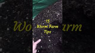 Worm Farming 101 How to Create Your Own Vermi Compost  Gardening [upl. by Alliuqa703]