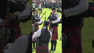 Coalburn IOR Pipe Band competing in Grade 3 bands during 2023 Pitlochry Highland Games shorts [upl. by Ahtamas302]