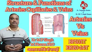 Structure amp Functions of Arteries Capillaries Veins  Differences in Artery amp Vein  HAPI  BP101T [upl. by Heinrich649]