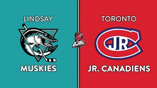 OJHL Highlights  Lindsay Muskies VS Toronto Jr Canadiens  September 8 2024 [upl. by Ahsetra]