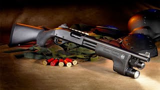 Best Tactical Shotguns 2024 Must See Before You Buy [upl. by Dede]