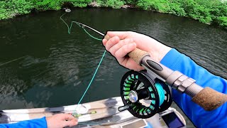 FLY FISHING for BIG AGGRESSIVE BASS  EPIC ACTION [upl. by Plerre694]