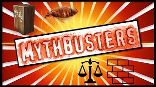 Rust Academy MYTHBUSTERS 18  STABILITY CHECK amp CUPBOARD BUG [upl. by Trillby]