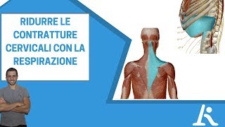 Come ridurre le contratture muscolari cervicali con la respirazione [upl. by Nnaaras]