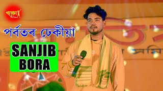 Porbotor Dhekiya ll Sanjib Bora ll Live Performance ll Sidalsati Jagadhatri Puja 2023 [upl. by Anneres]