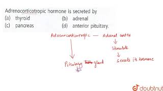 Adrenocorticotropic hormone is secreted by  11  CHEMICAL COORDINATION AND INTEGRATION  BIOLO [upl. by Bloch]