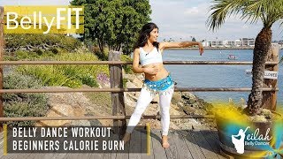 Beginners Belly Dance Cardio Workout  Shimmy Adventures [upl. by Adnoral980]