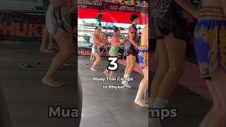 What Muay Thai Camp should you train in Thailand [upl. by Almeeta871]