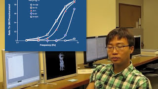 How does CaMKII sense specific calcium waves [upl. by Snowman]