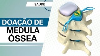 Doação de Medula Óssea [upl. by Liagiba]