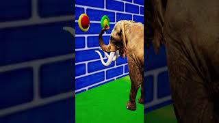 Elephant Guess The Right Button Escape Room Challenge Game game elephant choosetheright [upl. by Einnaej]