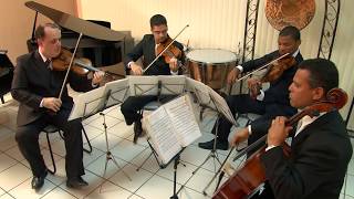 Andante Grazioso  W A Mozart violin cover [upl. by Mckeon]