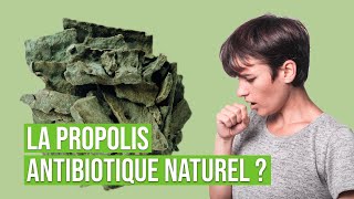 Questce que la propolis   Lallié de la ruche pour votre santé  Bienfaits et applications [upl. by Broome806]