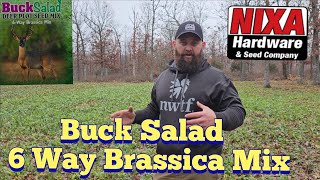 Buck Salad 6 way Brassica Foodplot from Nixa Hardware  KOAM Outdoors Foodplots [upl. by Nrehtac]