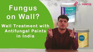 How Fungus on Wall Affect your kids health  Wall Treatment with Antifungal Paints in India [upl. by Bunce464]