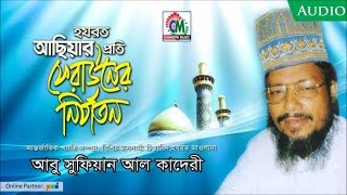 Abu Sufiyan Al Kaderi  Hazrat Asiar Proti Ferauner Nirjaton  Audio Waz Mahfil  Chandni Music [upl. by Atteugram]