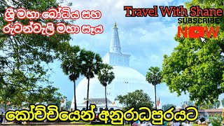 ANURADHAPURA  JAYA SRI MAHA BODHI  RUWANWELI MAHA SEYA 🤗🙏 රැයක් පහන් වන තුරු ස්වර්ණමාලී සෑ අබියස 🙏 [upl. by Anelliw]