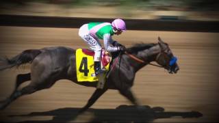 California Chrome Arrogate Lock Up Again in Pegasus World Cup [upl. by Anailuig738]