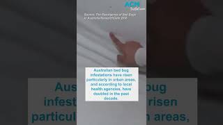 Bed bugs How to identify and get rid of them [upl. by Imarej534]