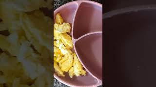 What My Baby Eats In a Day Easy Breakfast amp Dinner Recipes for 1YearOld 12 Month Baby Meal Ideas [upl. by Cuttler]