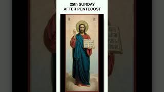 Embracing a Christian Life 25th Sunday after Pentecost sundaysermons shorts [upl. by Kingsbury]