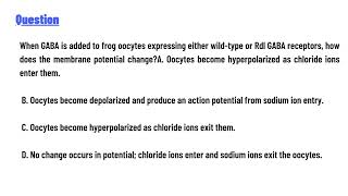 quotWhen GABA is added to frog oocytes expressing either wildtype or Rdl GABA receptors [upl. by Kirch]