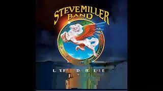 Steve Miller Live From Darien Lake 2014 [upl. by Ahsikyw932]