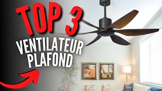 Meilleur Ventilateur Plafond 2023 [upl. by Evilc672]