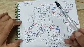 Diuretics mechanism of actionrenal physiology [upl. by Toulon]