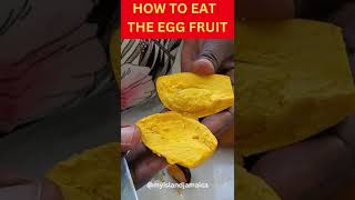 How To Eat Egg Fruit  EggFruit rarefruits  FULL VIDEO IN DESCRIPTION [upl. by Ettenrahc530]