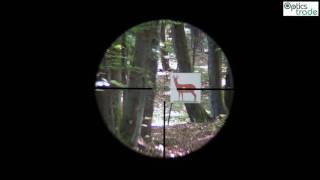 Sightron S TAC 25175x56 SF reticle 4A illum subtensions [upl. by Yhprum]