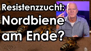 reaction Kritikvideo Nordbiene zerstört Resistenzzucht Paul Jungels Varroaresistenz 2033 Buckfast [upl. by Anirual]